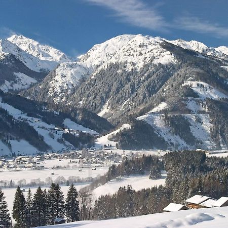 Chalet Freiblick Kleinhaid, Hollersbach Hollersbach im Pinzgau Eksteriør billede