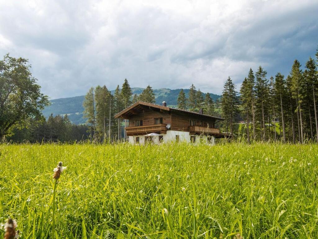 Chalet Freiblick Kleinhaid, Hollersbach Hollersbach im Pinzgau Eksteriør billede