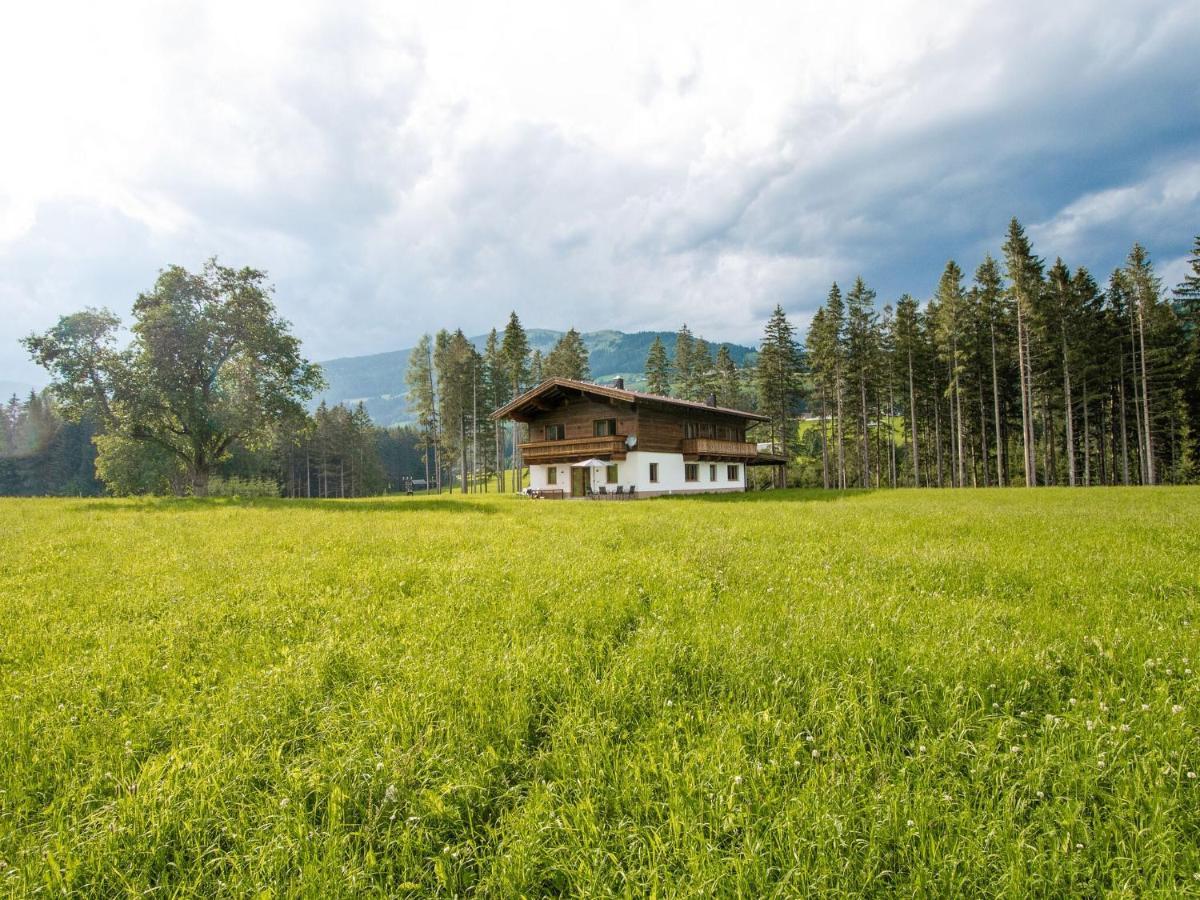 Chalet Freiblick Kleinhaid, Hollersbach Hollersbach im Pinzgau Eksteriør billede