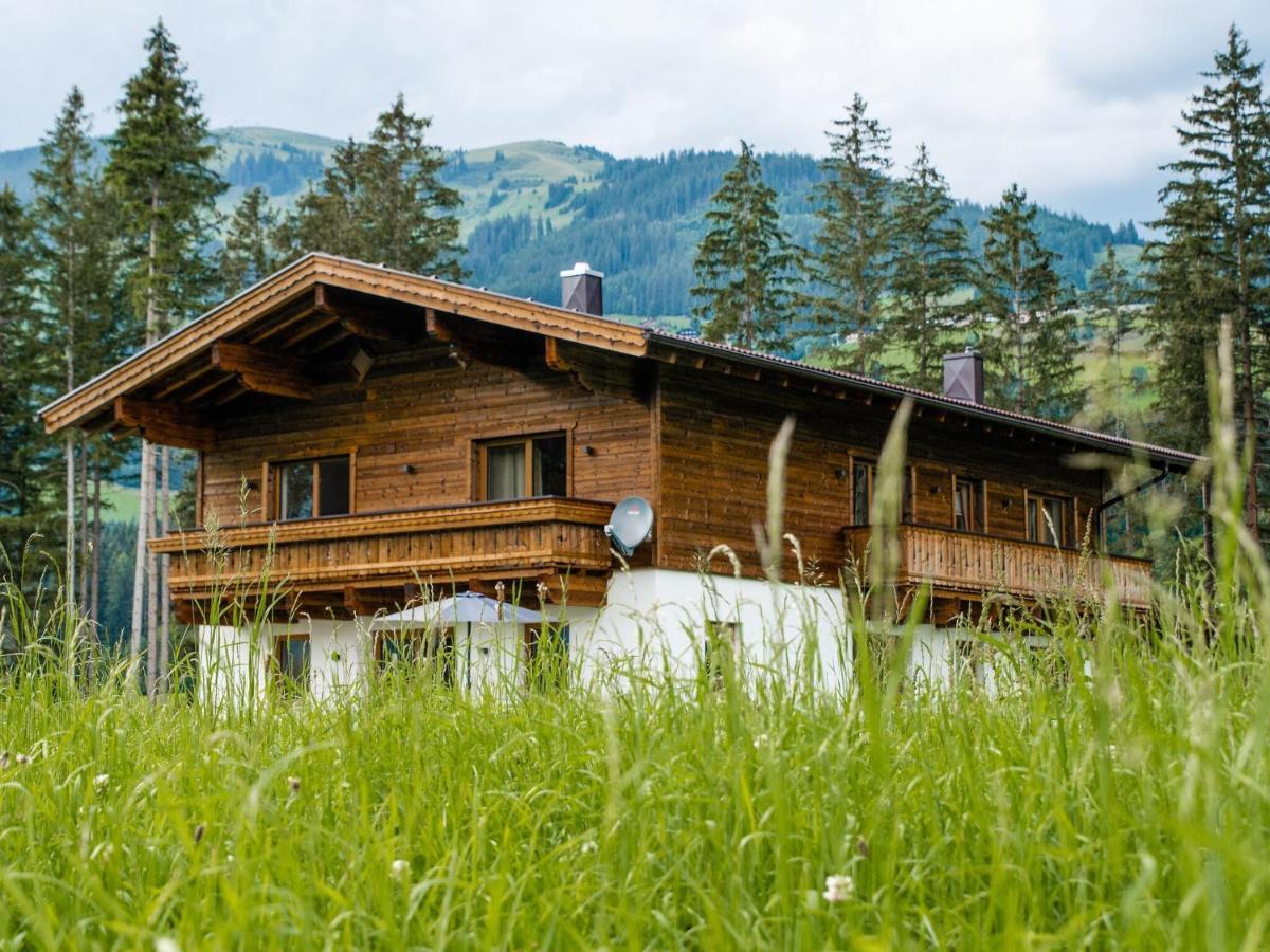 Chalet Freiblick Kleinhaid, Hollersbach Hollersbach im Pinzgau Eksteriør billede