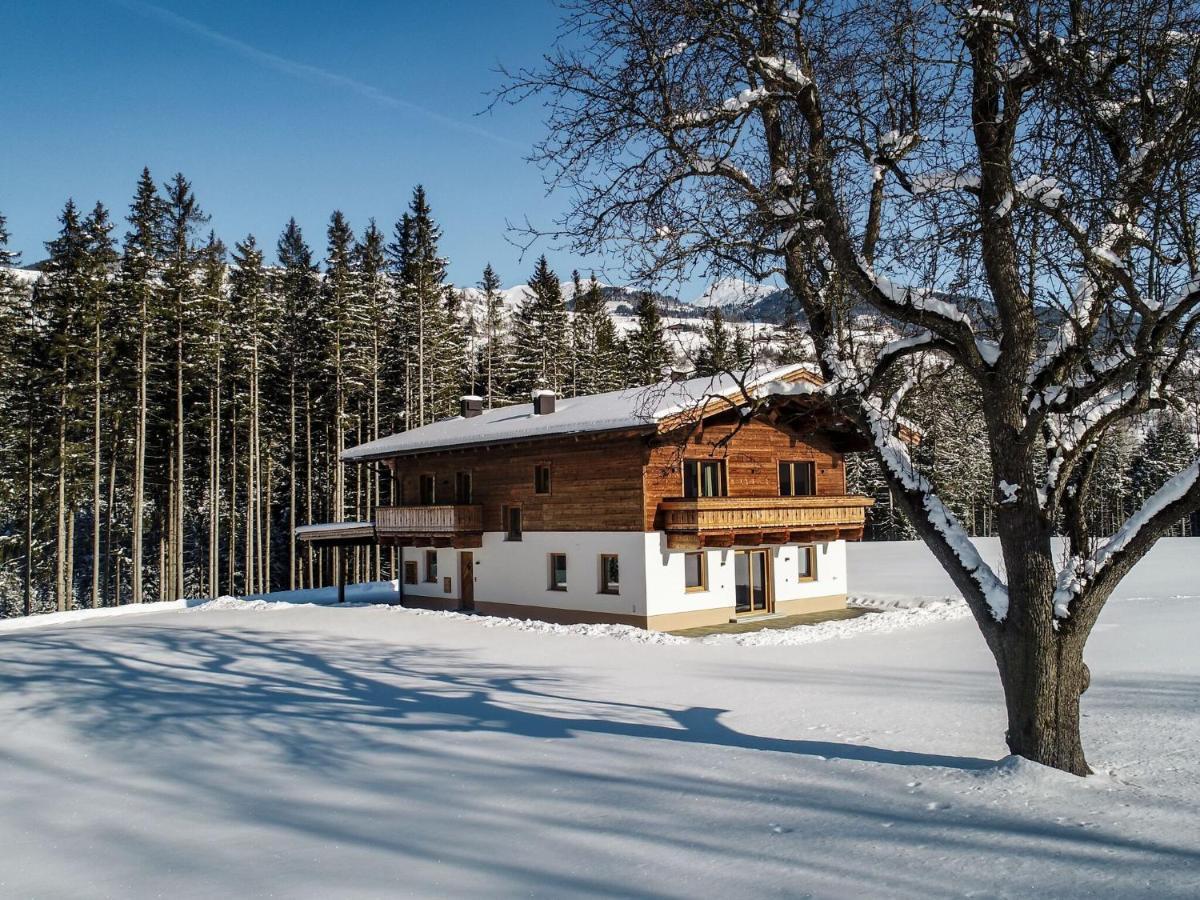 Chalet Freiblick Kleinhaid, Hollersbach Hollersbach im Pinzgau Eksteriør billede